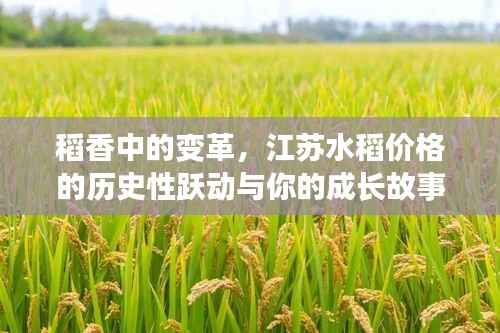稻香变迁与江苏水稻价格的历史性跃动,成长故事揭秘