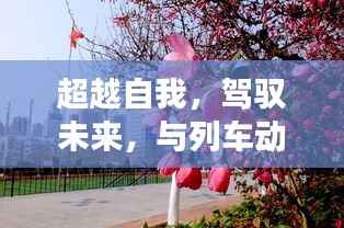 智慧与勇气,与列车动态实时查询系统共舞,超越自我驾驭未来