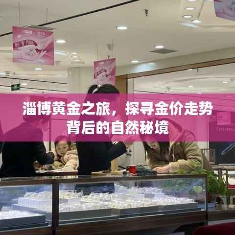 淄博黄金之旅,探寻金价走势与自然秘境之谜