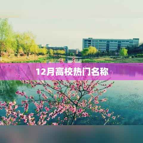 高校名称盘点,十二月热门榜单揭晓