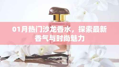最新热门沙龙香水,探索时尚魅力与香气之旅