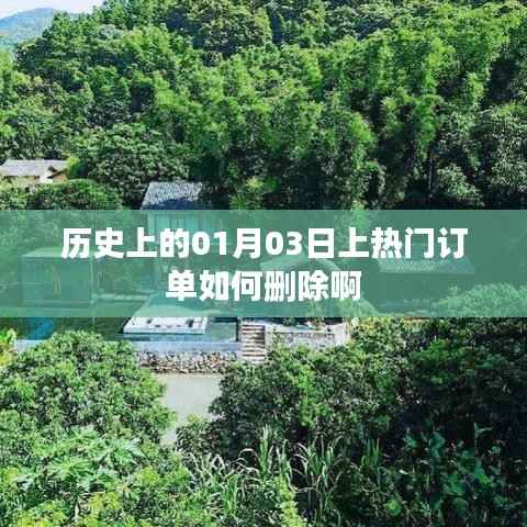 历史上的热门订单删除方法,聚焦一月三日订单删除指南