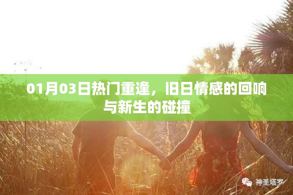 旧日情感回响与新生的碰撞,重逢时刻