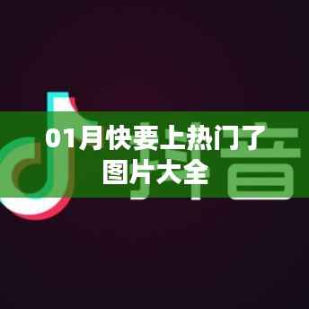 最新热门图片预览,一月精彩瞬间汇集