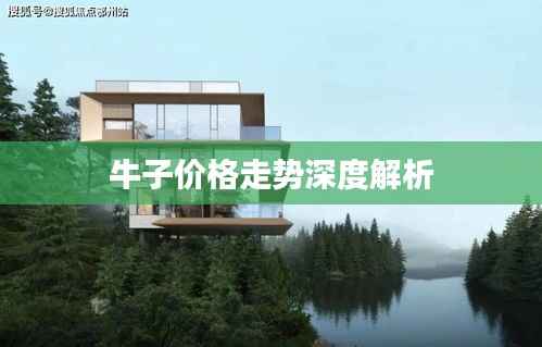 牛子价格走势深度解析