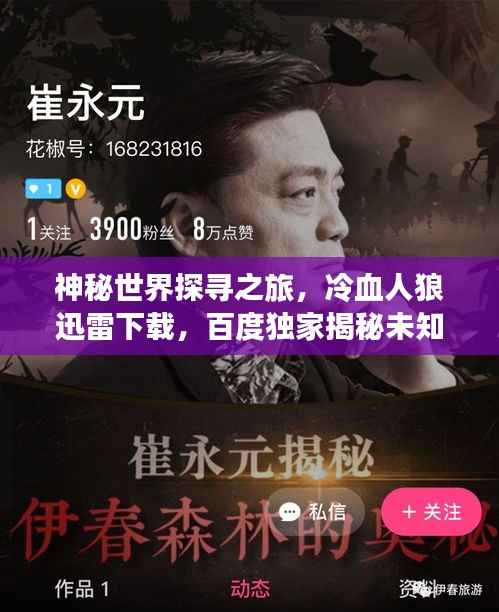 神秘世界探寻之旅,冷血人狼迅雷下载,百度独家揭秘未知之旅!