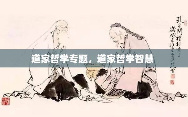 道家哲学专题,道家哲学智慧