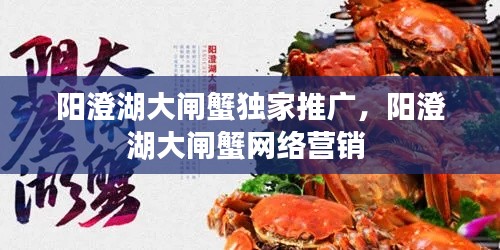 阳澄湖大闸蟹独家推广,阳澄湖大闸蟹网络营销
