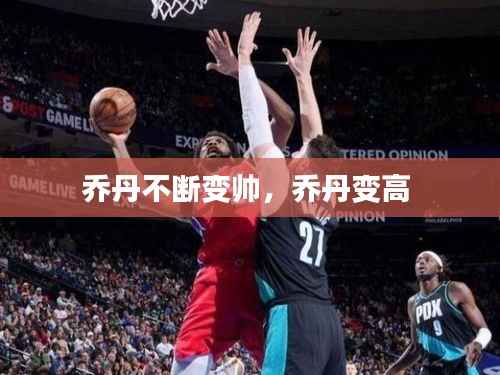乔丹不断变帅,乔丹变高