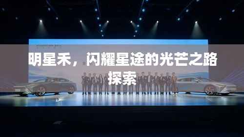 明星禾,闪耀星途的光芒之路探索