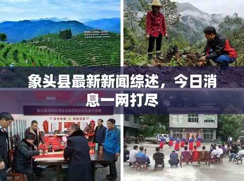 步履如飞 第2页