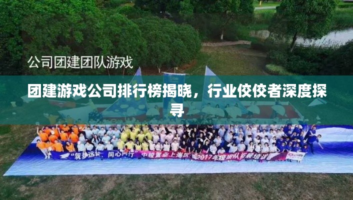 团建游戏公司排行榜揭晓,行业佼佼者深度探寻