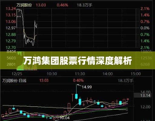 万鸿集团股票行情深度解析