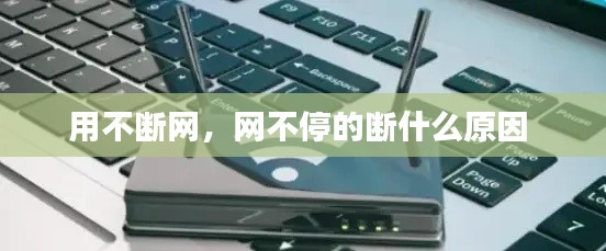 用不断网,网不停的断什么原因