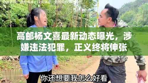 高邮杨文喜最新动态曝光,涉嫌违法犯罪,正义终将伸张