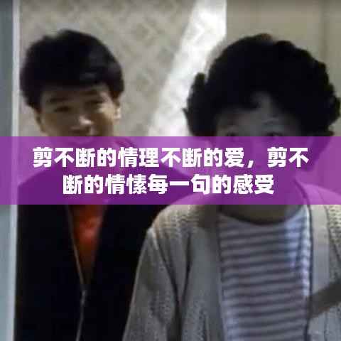 剪不断的情理不断的爱,剪不断的情愫每一句的感受