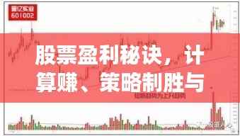 股票盈利秘诀,计算赚、策略制胜与智慧投资之道