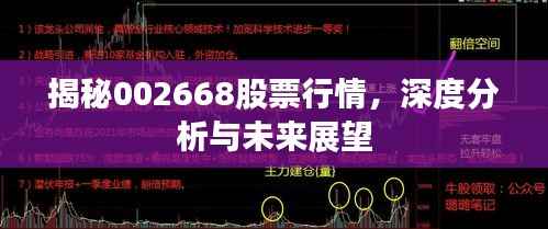 揭秘002668股票行情,深度分析与未来展望