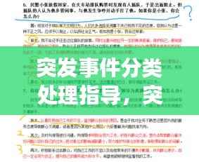 突发事件分类处理指导,突发事件分为
