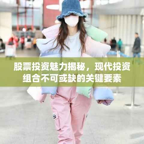 股票投资魅力揭秘,现代投资组合不可或缺的关键要素