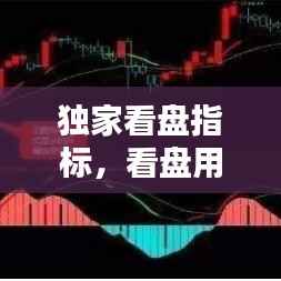 独家看盘指标,看盘用什么技术指标