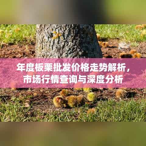 年度板栗批发价格走势解析,市场行情查询与深度分析