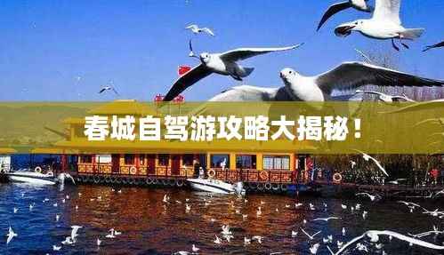 春城自驾游攻略大揭秘!