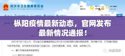 枞阳疫情最新动态,官网发布最新情况通报!