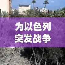 为以色列突发战争祷告,以色列发动战争的原因