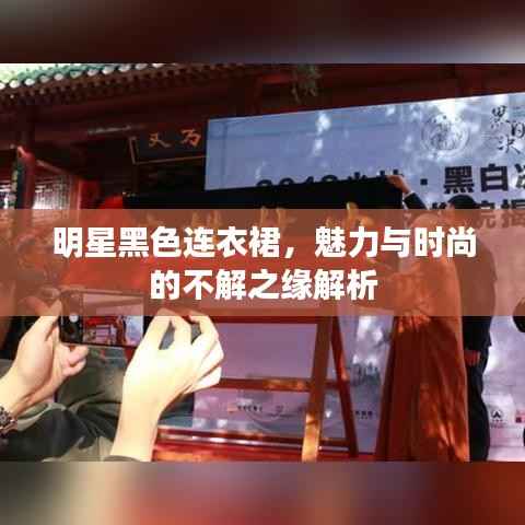 明星黑色连衣裙,魅力与时尚的不解之缘解析