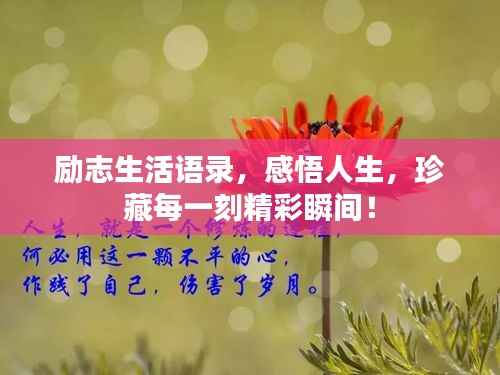 励志生活语录，感悟人生，珍藏每一刻精彩瞬间！