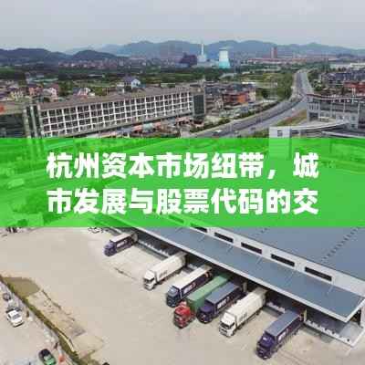 杭州资本市场纽带,城市发展与股票代码的交融之旅