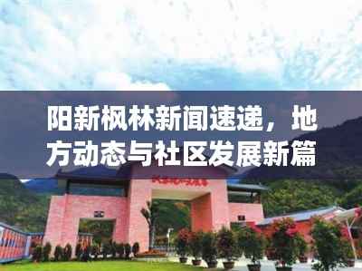 阳新枫林新闻速递,地方动态与社区发展新篇章