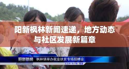 阳新枫林新闻速递,地方动态与社区发展新篇章