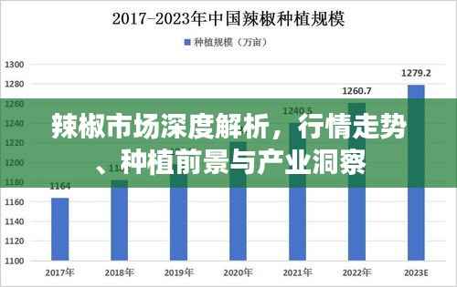 辣椒市场深度解析,行情走势、种植前景与产业洞察