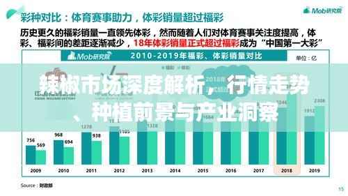 辣椒市场深度解析,行情走势、种植前景与产业洞察