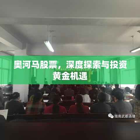 奥河马股票,深度探索与投资黄金机遇