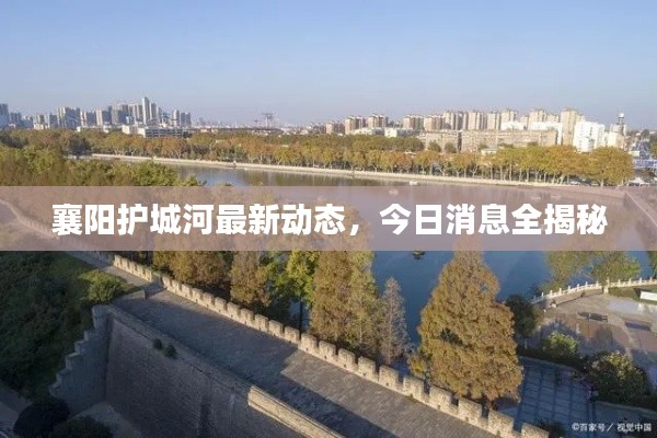 襄阳护城河最新动态,今日消息全揭秘