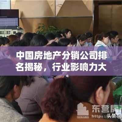 中国房地产分销公司排名揭秘,行业影响力大揭秘!