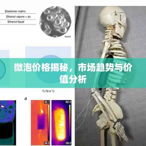 微泡价格揭秘,市场趋势与价值分析