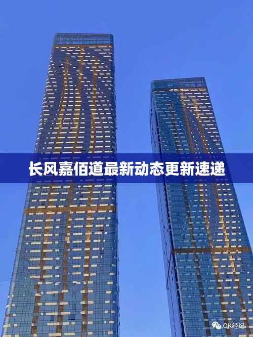 长风嘉佰道最新动态更新速递
