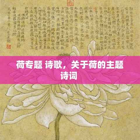 荷专题 诗歌，关于荷的主题诗词 