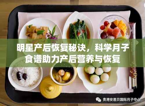 明星产后恢复秘诀,科学月子食谱助力产后营养与恢复