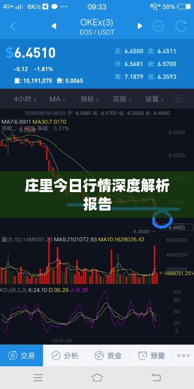 庄里今日行情深度解析报告