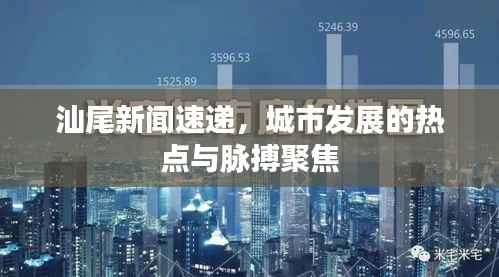 汕尾新闻速递,城市发展的热点与脉搏聚焦