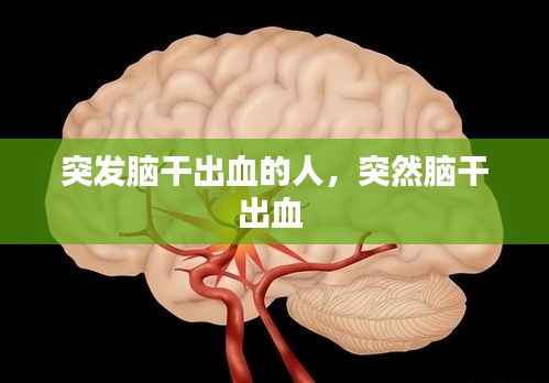突发脑干出血的人,突然脑干出血