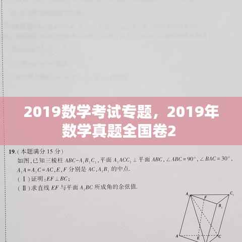 2019数学考试专题,2019年数学真题全国卷2