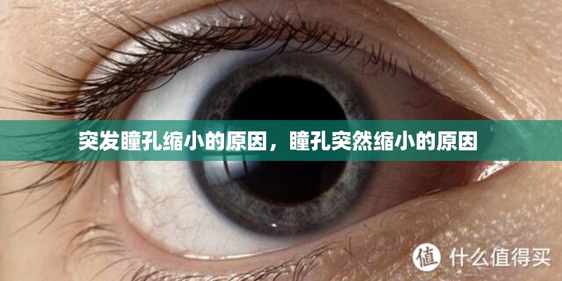 突发瞳孔缩小的原因,瞳孔突然缩小的原因