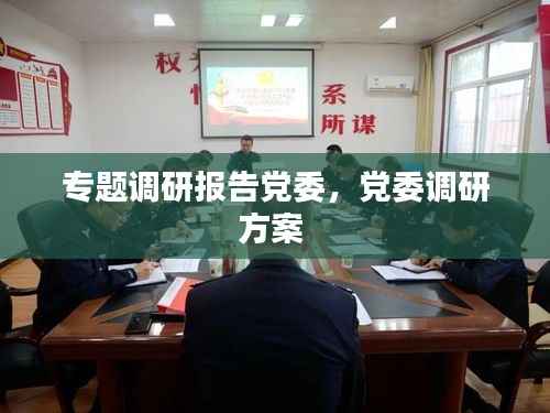 专题调研报告党委,党委调研方案