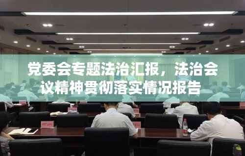 党委会专题法治汇报,法治会议精神贯彻落实情况报告